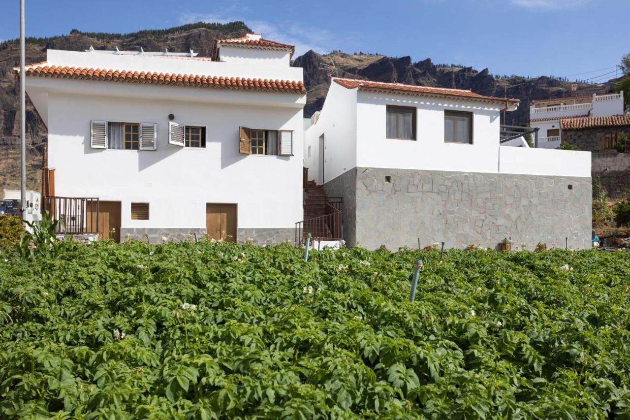Casa Isabela With Roque Nublo View Apartment Tejeda  Exterior foto